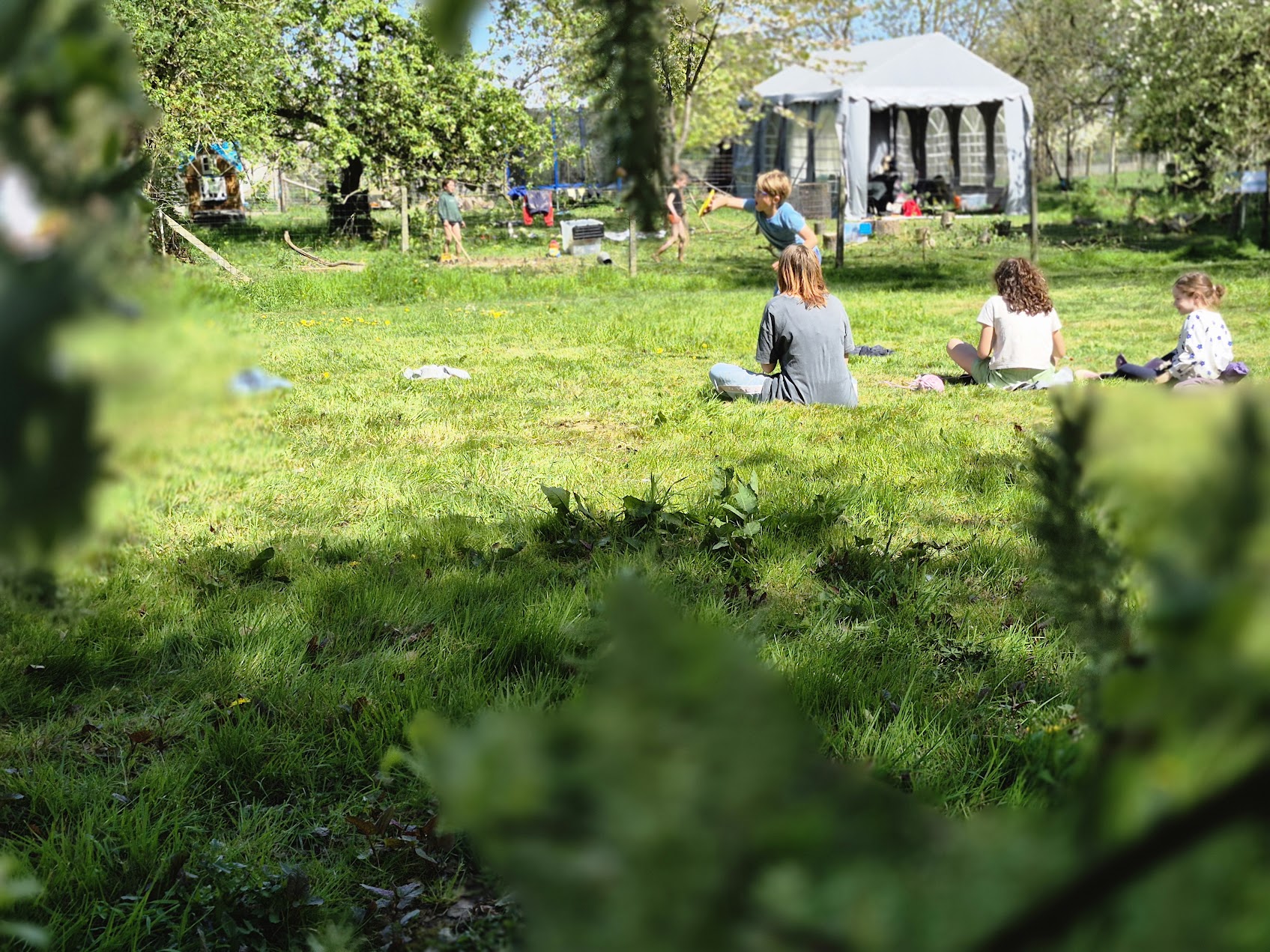 Eigen-Wijs in de natuur